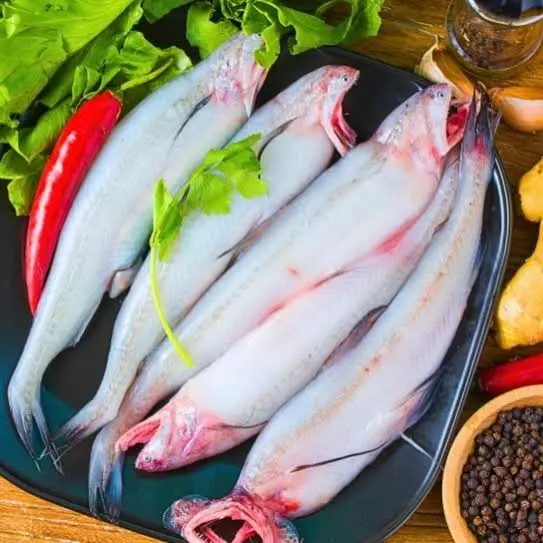 WhatsApp Image 2025-06-28 at 11.07.22 AM (1).webp