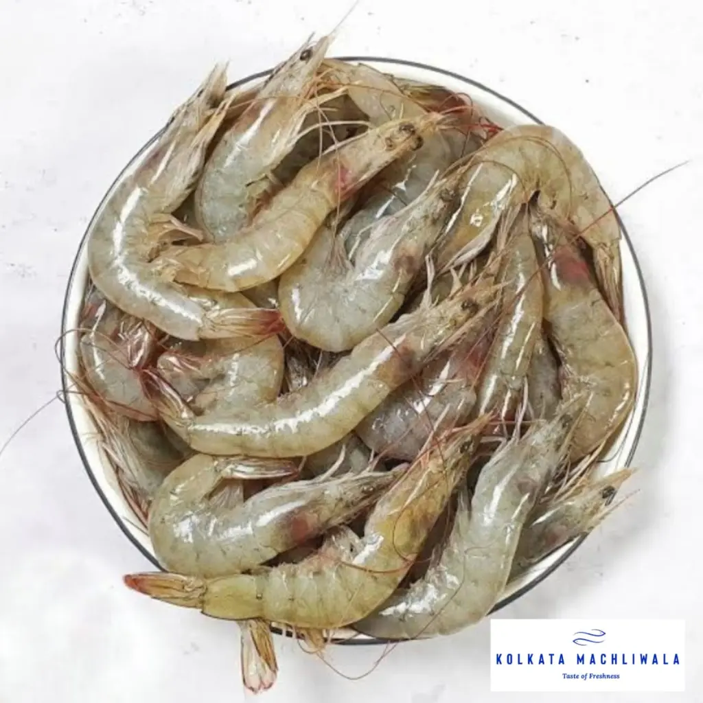 WhatsApp Image 2025-07-16 at 9.56.27 PM.webp