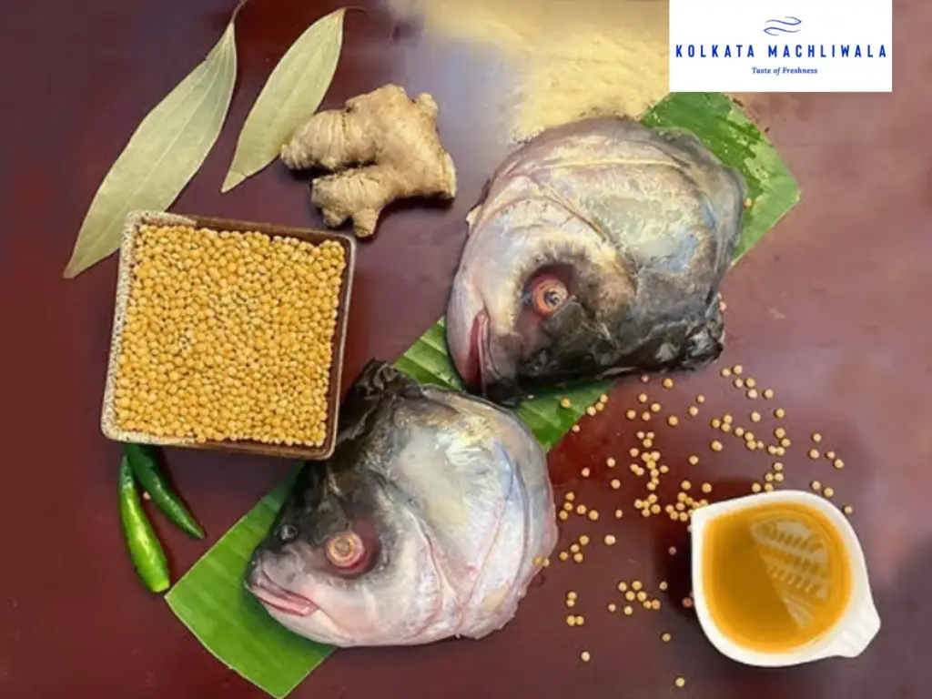 Catla/ Katla -Head(1pieces)