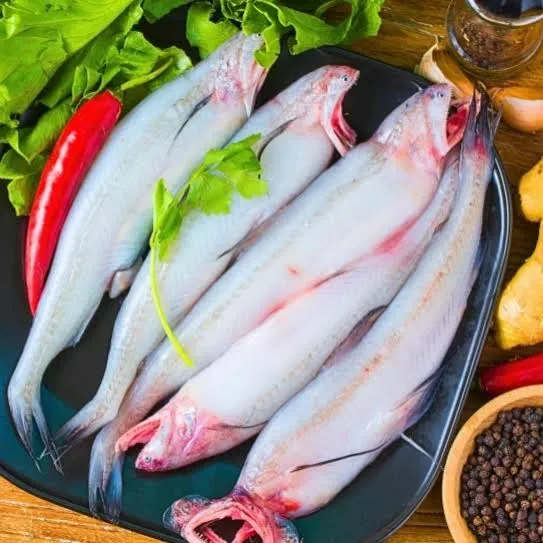 Lote fish/ Bombay duck/লোইট্টা মাছ - Medium size , Whole clean (500 gm)